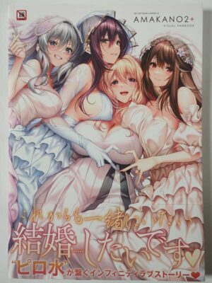 アマカノ2+ ビジュアルファンブック(帯付)